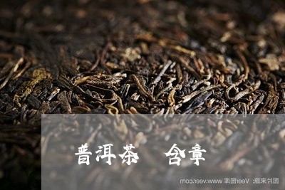 普洱茶 含章/2023042659807